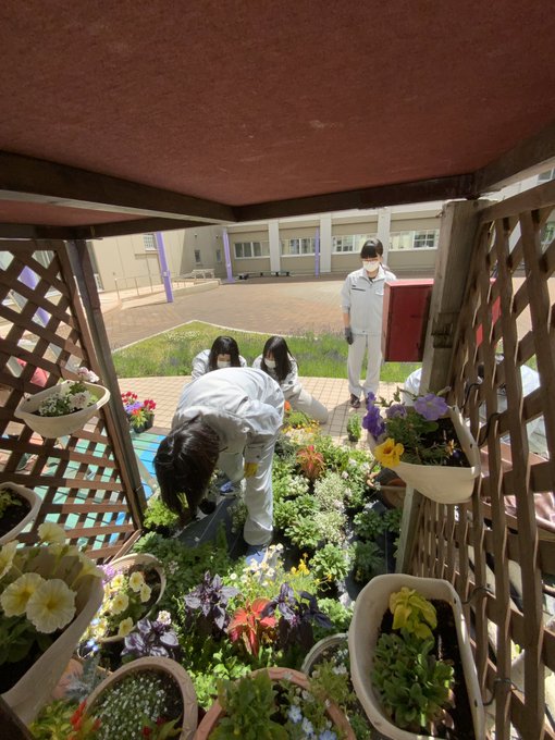 花フェスタ Hana Festa Sapporo 22