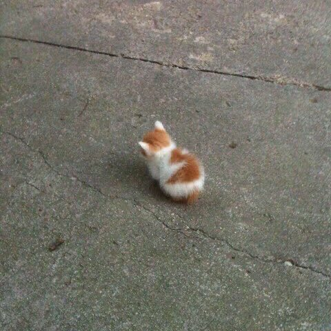kinnwink's tweet photo. angy cat but is seonghwa 
#ATEEZ #ATEEZfanart #SEONGHWA #성화 https://t.co/USHKmOcyag