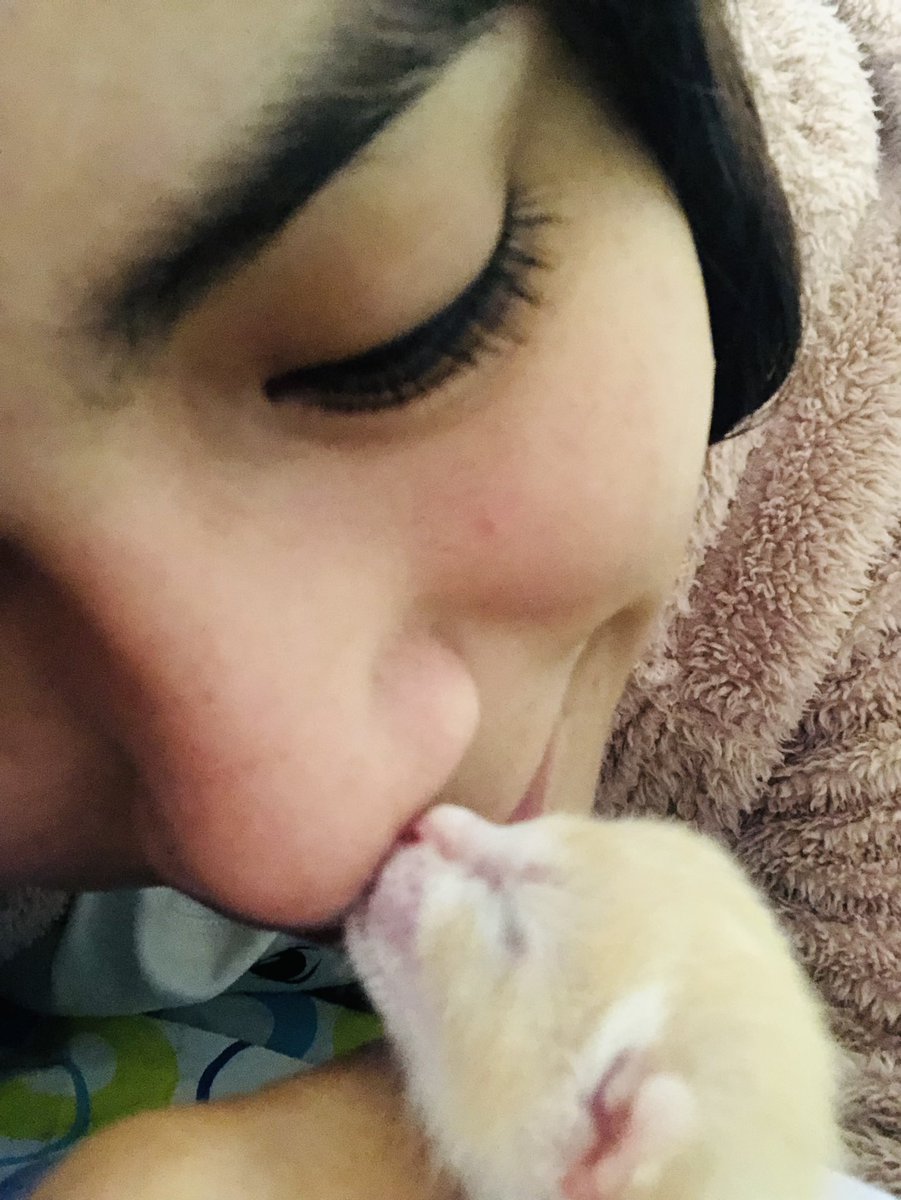 hottisa_'s tweet photo. Ojalá tus ojitos me hubieran visto, mi michito bebé … en tres dias te robaste mi corazón. Un besito tierno al cielo, mi corazoncito te llena de calor. https://t.co/jCDOXVundJ