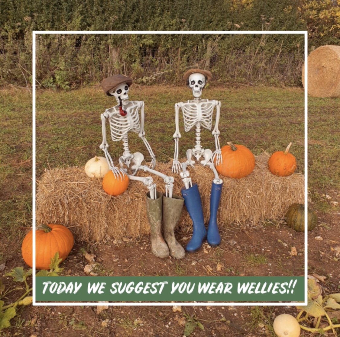 After all of the rain we had yesterday the ground is still wet, we suggest you wear wellies or other shoes which will be ok in the wet and to get a little bit muddy! Hope to see you later! #wet #October #wellyboots #wellies #FarmLife