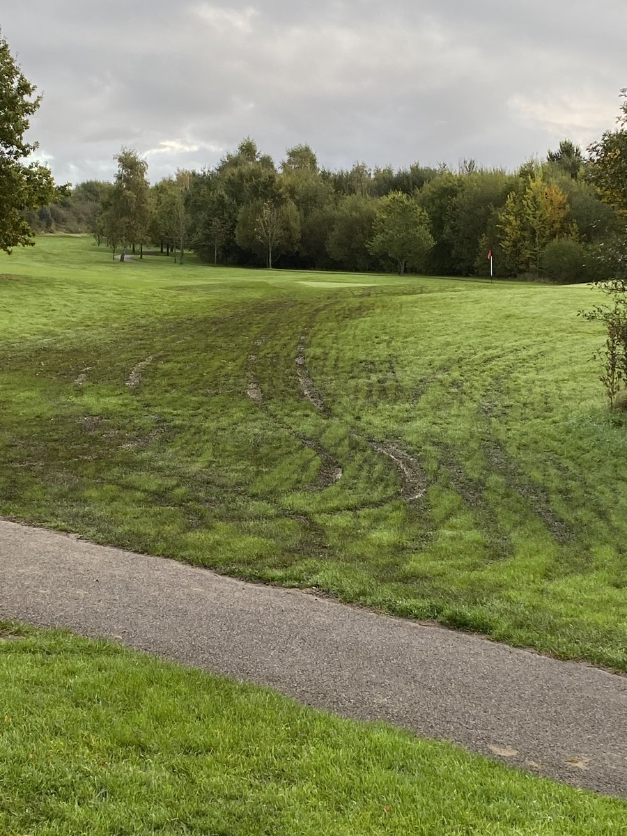 nathan berry tweet media