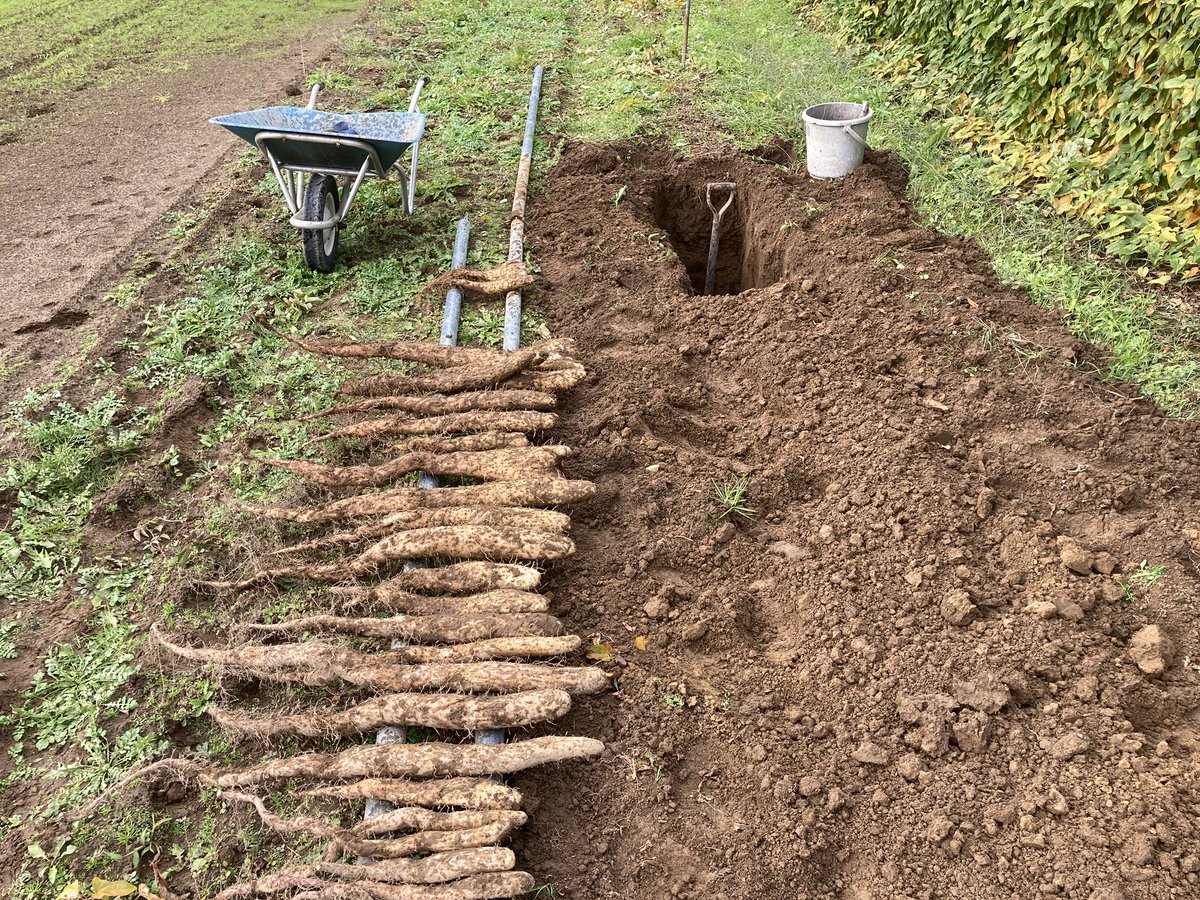 Home Logogala Recent Activity Hw Cxlt Coumj Fkdt Wpr Dok Evism Rrvwu Ej Ov Pc Cc Ha Ecgb Rnp Lodv Fmebw Jwghn Ckxv Ssb Fkgwy Hpbg Cz Vtr Ywez Yq Am Iq bl Mod Xaiot Ymeuf Rmri Ar Ic Dvaq Kxzf Tvuqe Vm Jcup Wcu Hbiz Api Osbt