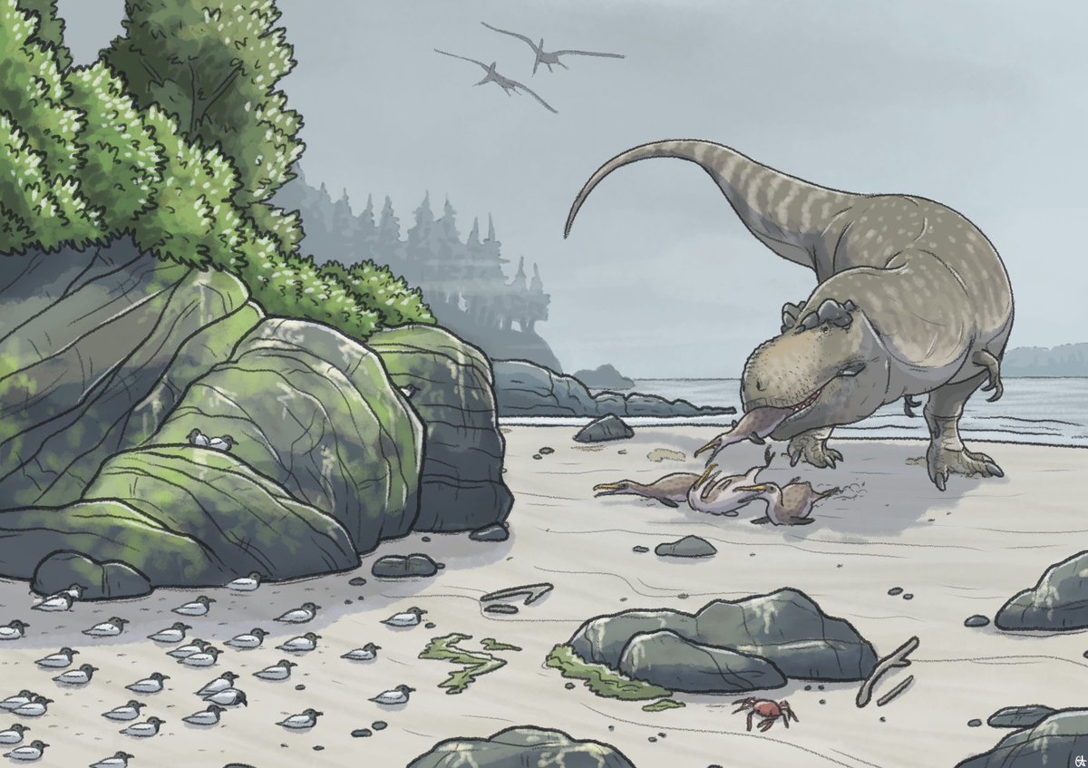 ddinodan's tweet photo. this Tyrannosaurus has happened upon a quartet of migrating Canadaga - unfortunately for them, their avian brethren don't seem interested in helping https://t.co/Mhthv5zslK