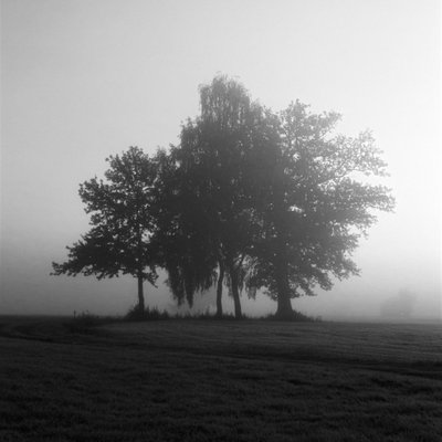 Karsten Schmidt's Photo