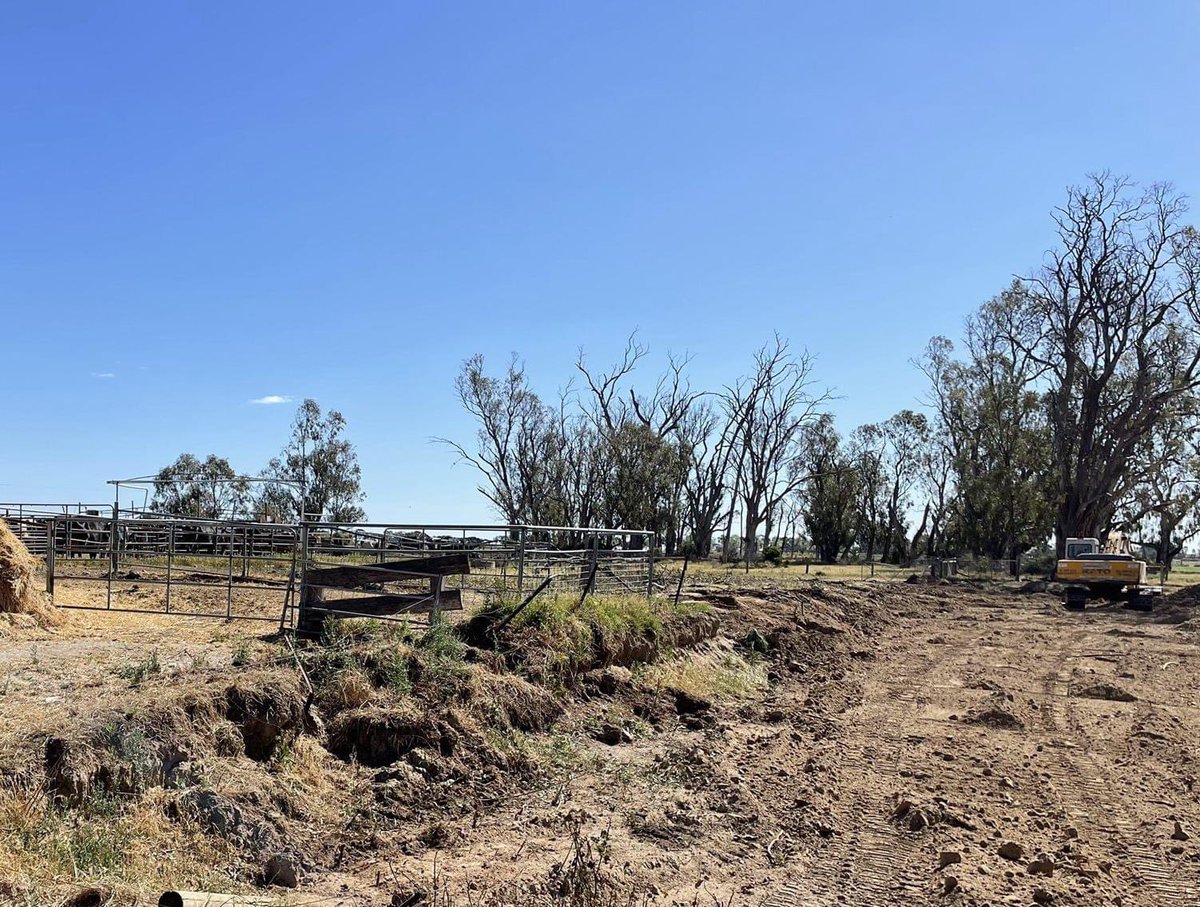 CjFitzgerld's tweet photo. LELY XL Farm - No MUCKING around on this 8 robot project in Northern Victoria. Site works have begun in preparation for the robots arriving in 2022!
#Lely #Dairyfarming #dairyfarm #dairyindustry #BrightFarming #AstronautA5 https://t.co/8TgOtGtm61