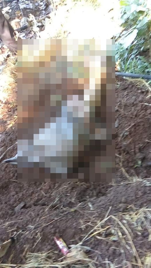 m_krl1's tweet photo. The body of U Aung Myint,who’d been missing since Oct18 after returning to his relative’s home near where SAC troops stationed,was found BURIED in Ywarthit villg, Southern #Kawkarate tsp,Karen State on Oct25. Residents said he was slaughtered by Junta.
#WhatsHappeningInMyanmar https://t.co/93AnvjlWTl