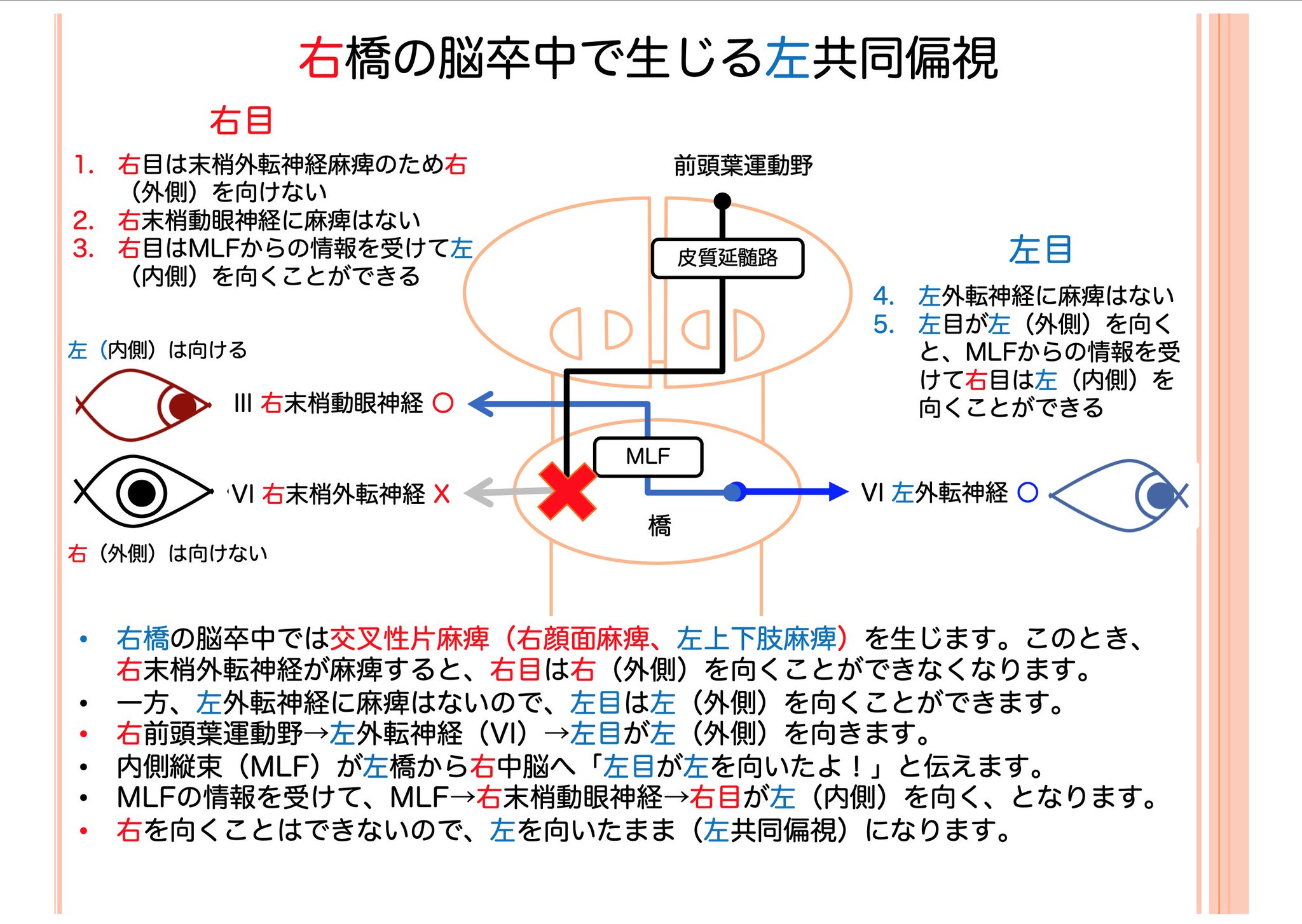 麻痺ちゃ様確認ページ tm1047-1.jpg