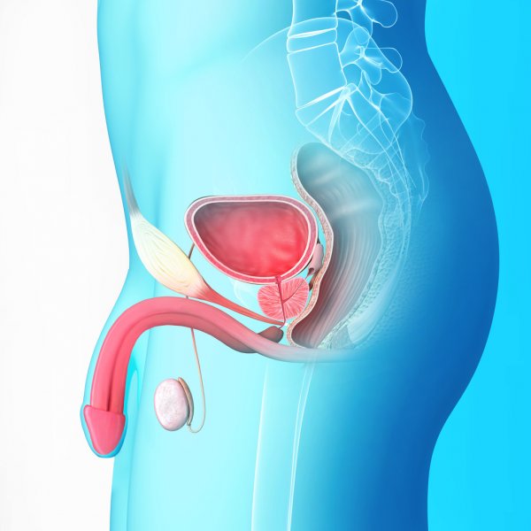 youtube.com/watch?v=Yry7_d…

Boel Akupunktur klinik er eksperter i akupunktur. 
g.page/boelakupunktur…