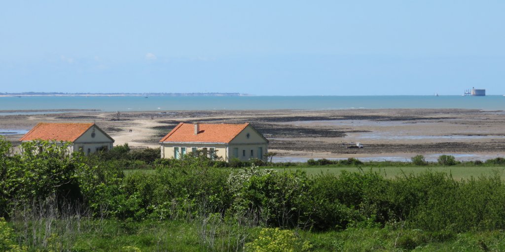 RochefortOcean's tweet photo. 📣 #MondayMotivation Profitez des #vacances pour découvrir l’#ÎleMadame au cours d'une #visite entre #nature et #culture, accompagnée par deux guides 🌿
En savoir plus 👉 https://t.co/Z6crS5JXUD
© Marika Domenici 📷
#RochefortOcean #Portdesbarques #sortienature https://t.co/A0LYHiqXGu