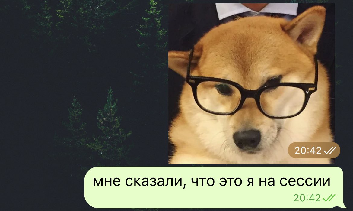 HiTernNet's tweet image. 