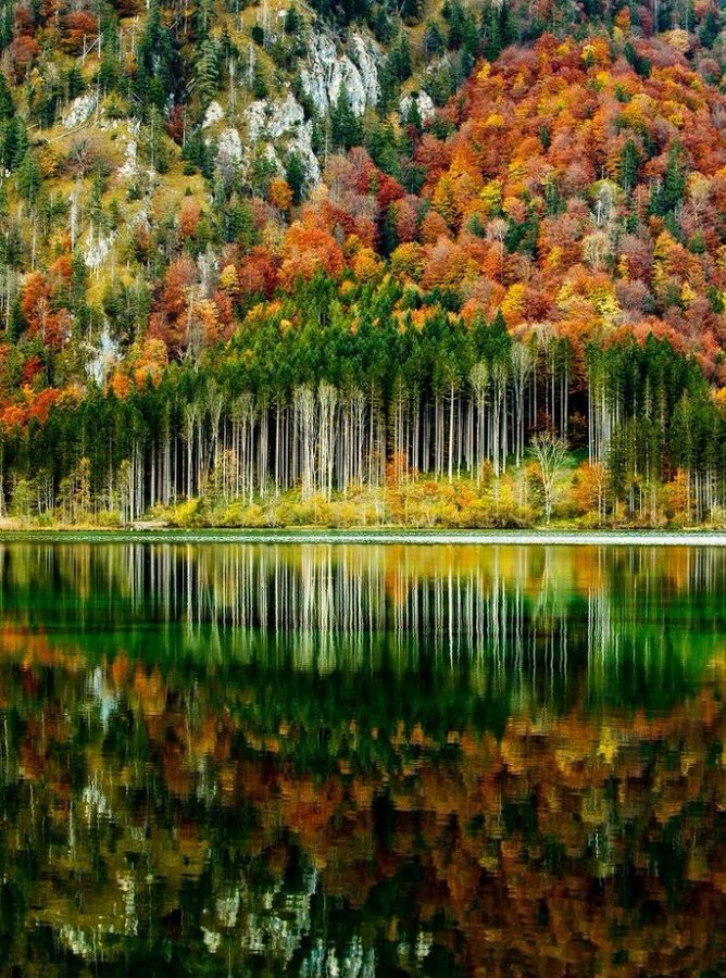 <a href="/Love_onlyyU/">$atish💌</a> Good Morning Dear Sati ☀️☕️ 🤗🌹💞