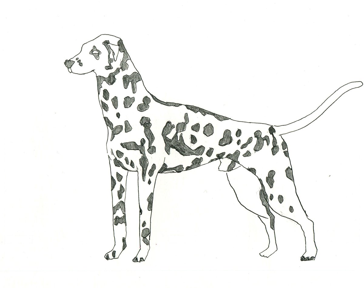 Twoucan ダルメシアン の注目ツイート イラスト マンガ