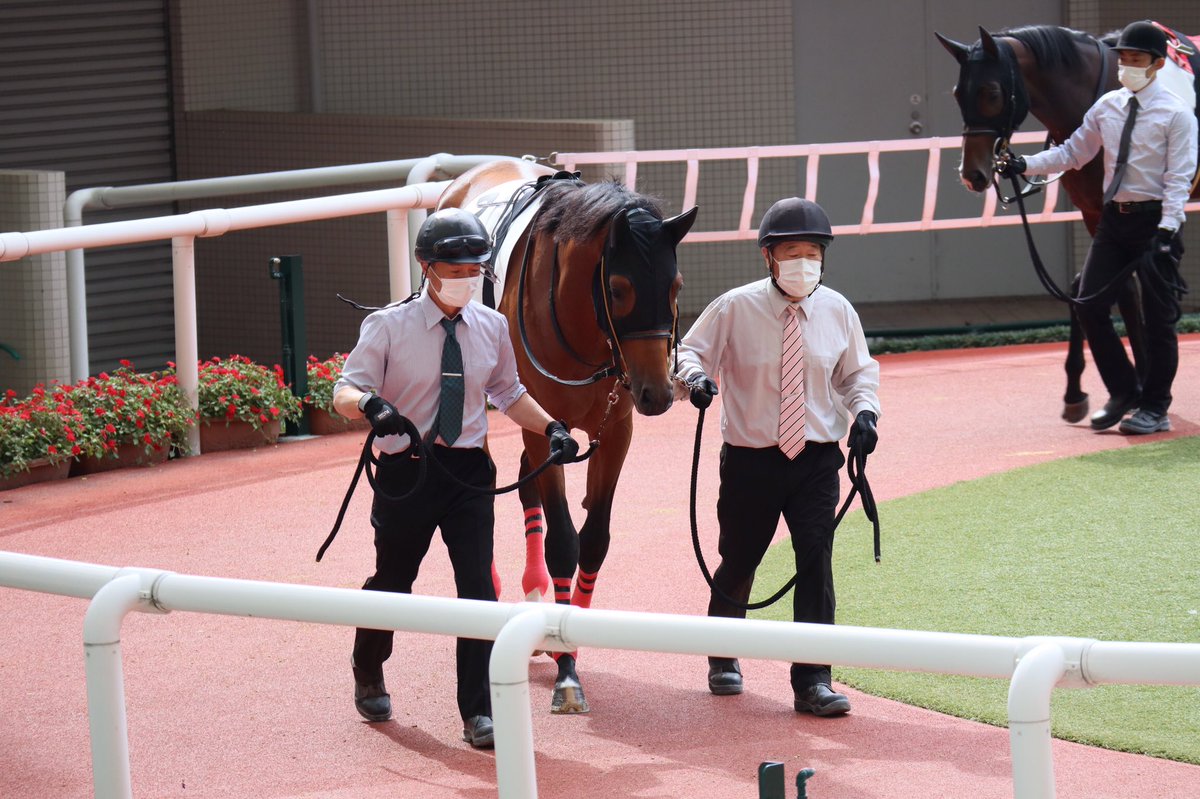 Top Tweets For ライオンレースホース Twstalker
