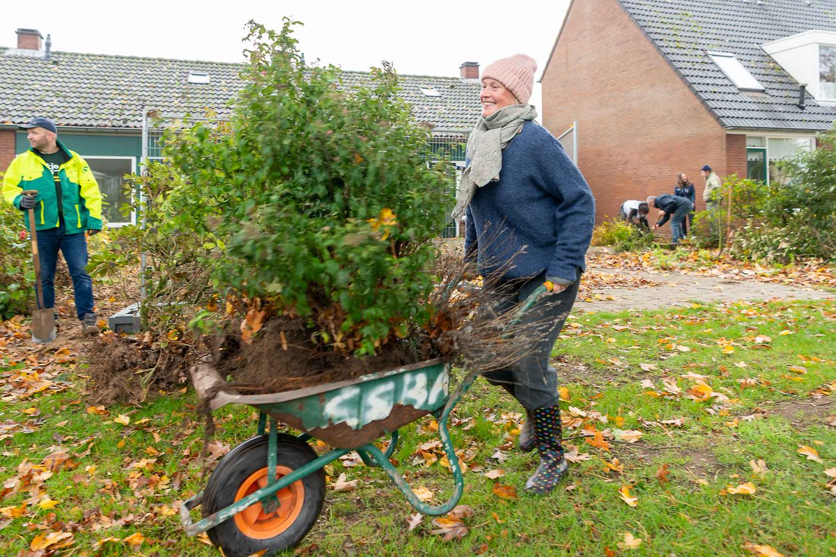 "Groen verbindt, dat zie je ook vandaag weer", zegt Marieke van der Zeijden van stichting Struikroven na hun eerste actie in de #Achterhoek. In #Drempt in de <a href="/gem_bronckhorst/">Gemeente Bronckhorst</a> gingen bewoners op 'roverspad' om planten en struiken te redden van de #sloop. 
swd.nl/over-site/nieu…
