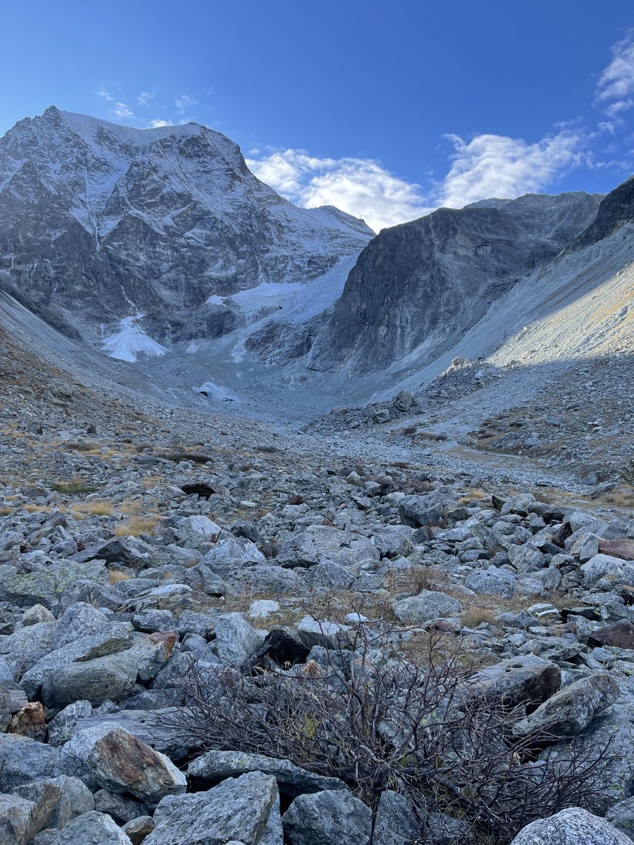 DH301111's tweet photo. photograph@Alpes_UoG today https://t.co/j1aVN59VxO
