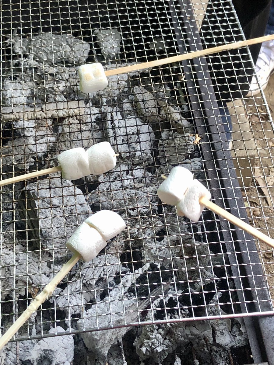 oitacamping's tweet photo. デイキャンプin高尾山自然公園キャンプ場。 https://t.co/VhCFnZrLdu