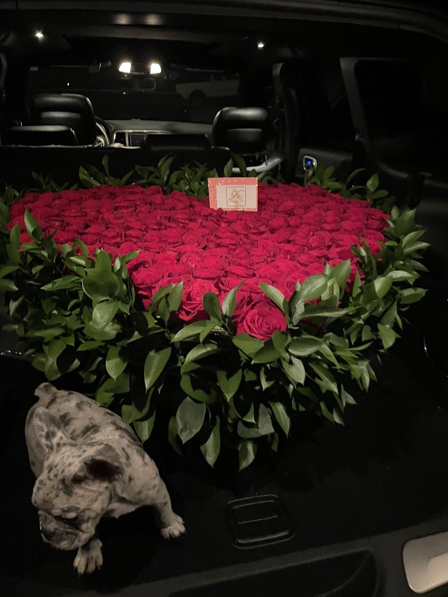 daliciahuerta's tweet photo. my babies ♥️🐶🌹 https://t.co/2bTAdOFiWC
