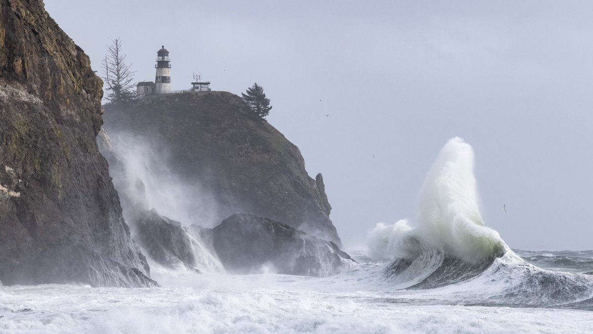 Benjamin Jurkovich tweet media