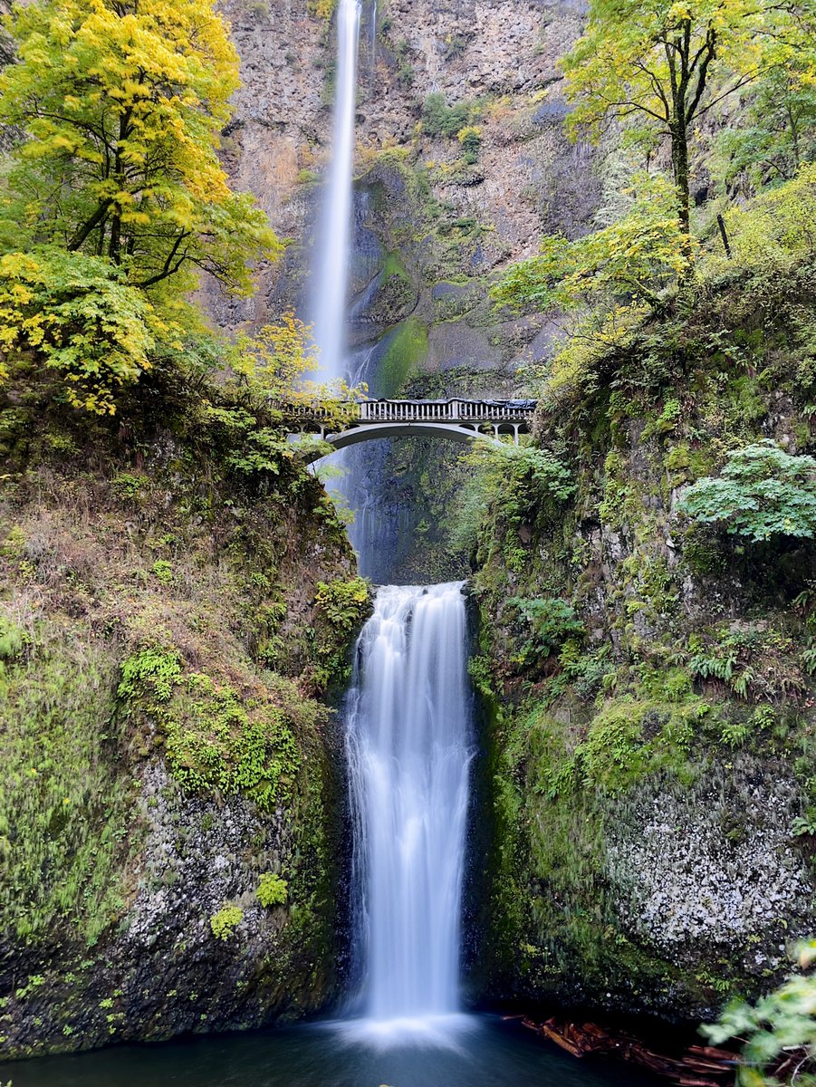 Multnomah Falls 😍