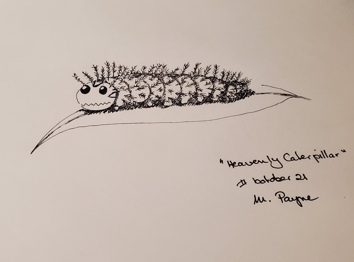 scifimoth's tweet photo. Letting out my inner bio nerd today. We have a Thylacine for "Extinct" and the world's most toxic caterpillar Lonomia obliqua for "Heavenly caterpillar" #inktober2021day24, #inktober2021, #botber https://t.co/kTXMmjfi2u