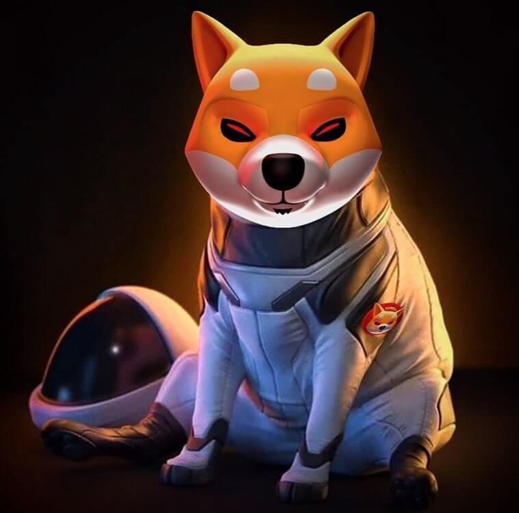 garrinap1925's tweet photo. Go shiba go  to the moon https://t.co/pjQPZa3091