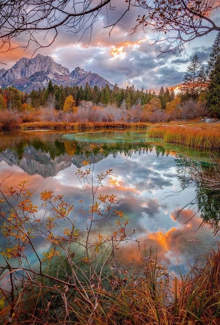 <a href="/Love_onlyyU/">$atish💌</a> Good morning Satish 💛