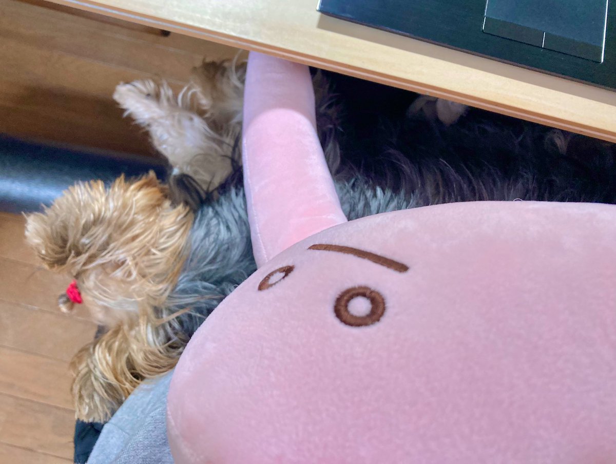 Mamo O Omamo O Twitter