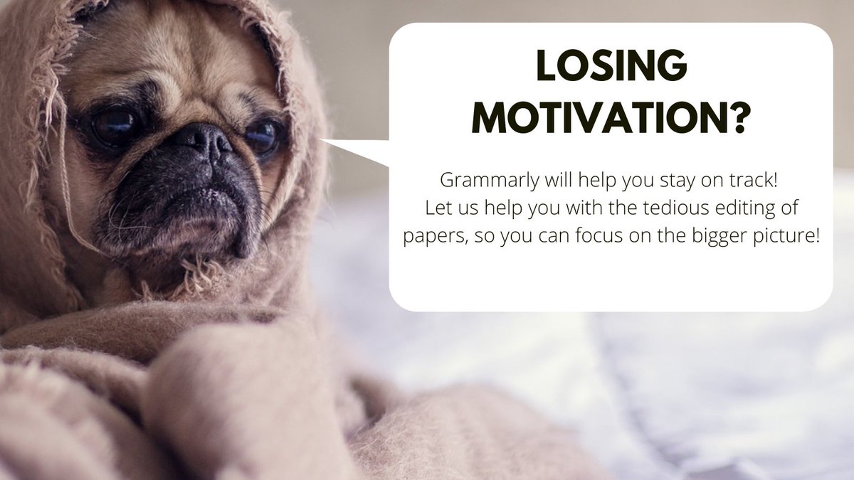 ISUGrammarly's tweet photo. https://t.co/s7FpQPefip