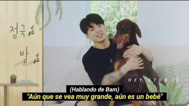 andy_gramar's tweet photo. (Speaking of bam)
"Even though he looks too big, he's still a baby"
JUNKOOOOOOOOOOK IS EXACTLY WHAT ARMY THINKS OF YOU, now do you understand us? π₯Ίπππ²π½ππβ£ #L_army #Mexico #JUNGKOOK @BTS_twt https://t.co/8Io9I1jg1m