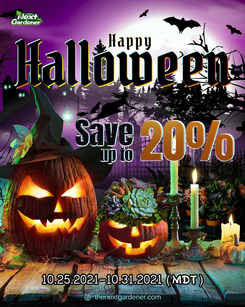 The Next Gardener tweet media