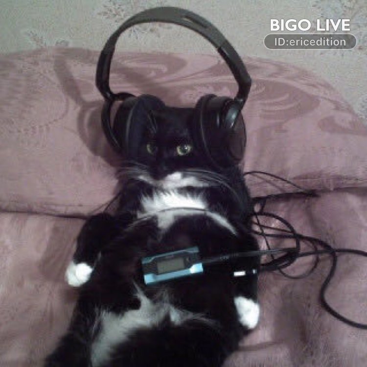 EricEdition's tweet image. ¡Ven  a #BIGOLIVE y haz nuevos amigos!  slink.bigovideo.tv/CtH7ns