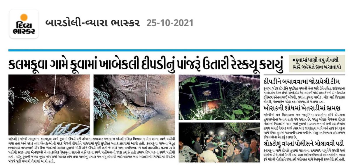 UpendraRaulji2's tweet photo. કલમકુવા ગામે કૂવામાં પડેલ દીપડાને ભારે જહેમત બાદ વન વિભાગે પોલીસ અને લેપર્ડએમ્બેસીડર ટીમ ની મદદથી સફળતાપૂર્વક બચાવ કામગીરી પુર્ણ કરી.
@CCFSurat @DCFSuratT https://t.co/H5yLmBYykh