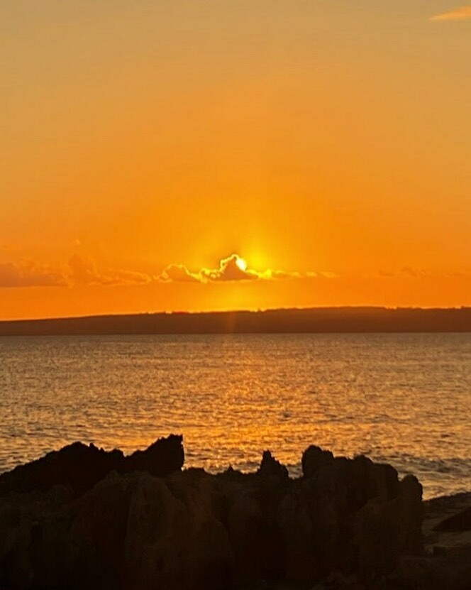 eugenia silva tweet media