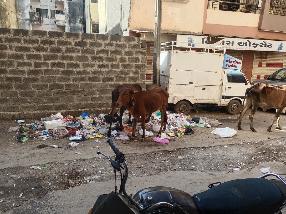 KacharaGulzar's tweet photo. @CommissionerJu2 પ્રિય સાહેબ નવા નાગરવાડા સેરિ નંબર ૨ માં કચરા ના ઢગલા નો ત્રાસ વધતો જાય છે સફાઇ કર્મચારી અહીંયા કચરાના ઢગલા કરી જાય છે અને માખ મચછર નો ત્રાસ વધતો જાય છે અહિયાં કચરા ના ઢગલા ના કરે તે માટે અમારી વિનંતી છે plz support sir https://t.co/srPSapJmbk