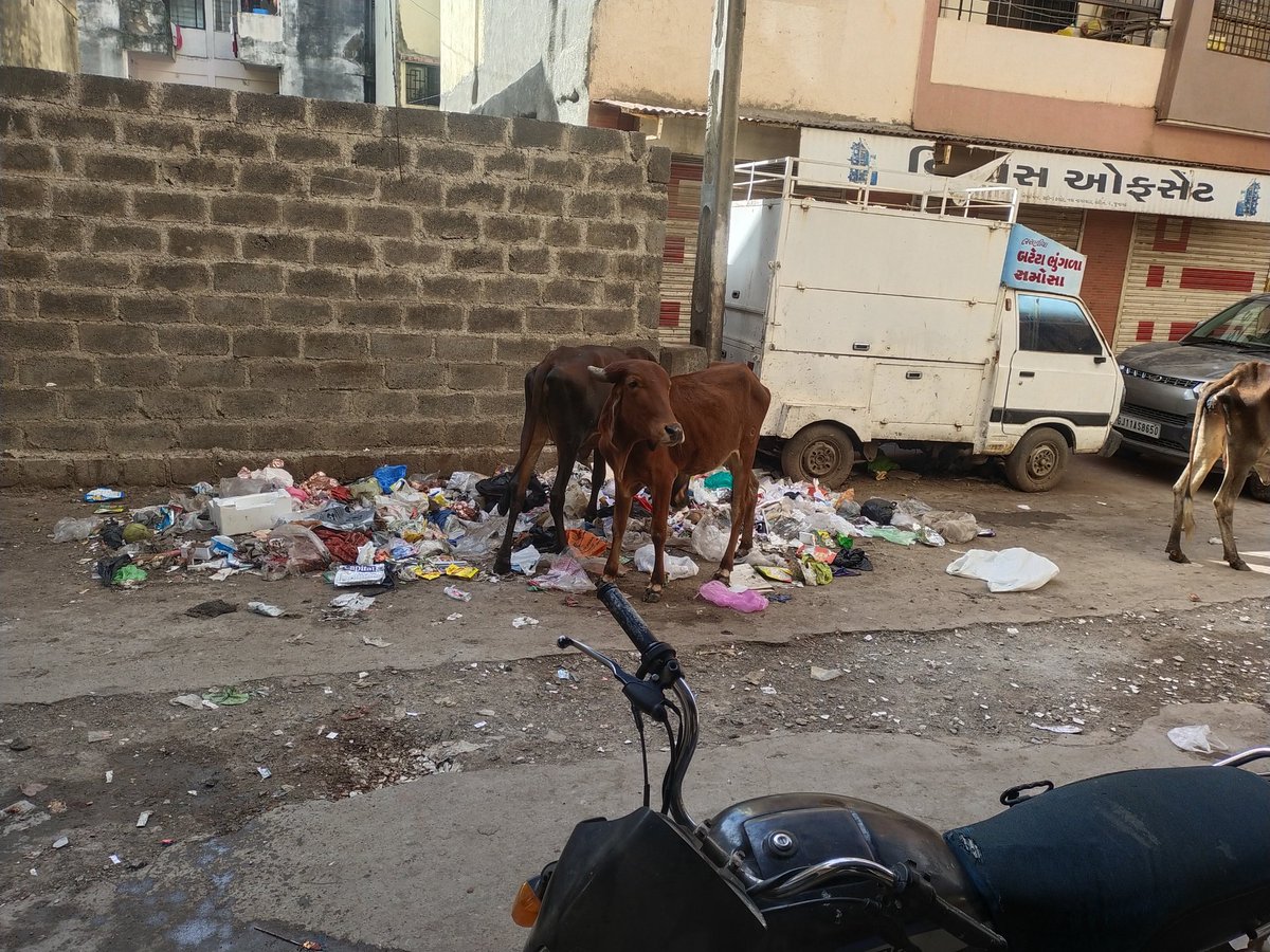 KacharaGulzar's tweet photo. @CommissionerJu2 પ્રિય સાહેબ નવા નાગરવાડા સેરિ નંબર ૨ માં કચરા ના ઢગલા નો ત્રાસ વધતો જાય છે સફાઇ કર્મચારી અહીંયા કચરાના ઢગલા કરી જાય છે અને માખ મચછર નો ત્રાસ વધતો જાય છે અહિયાં કચરા ના ઢગલા ના કરે તે માટે અમારી વિનંતી છે plz support sir https://t.co/srPSapJmbk