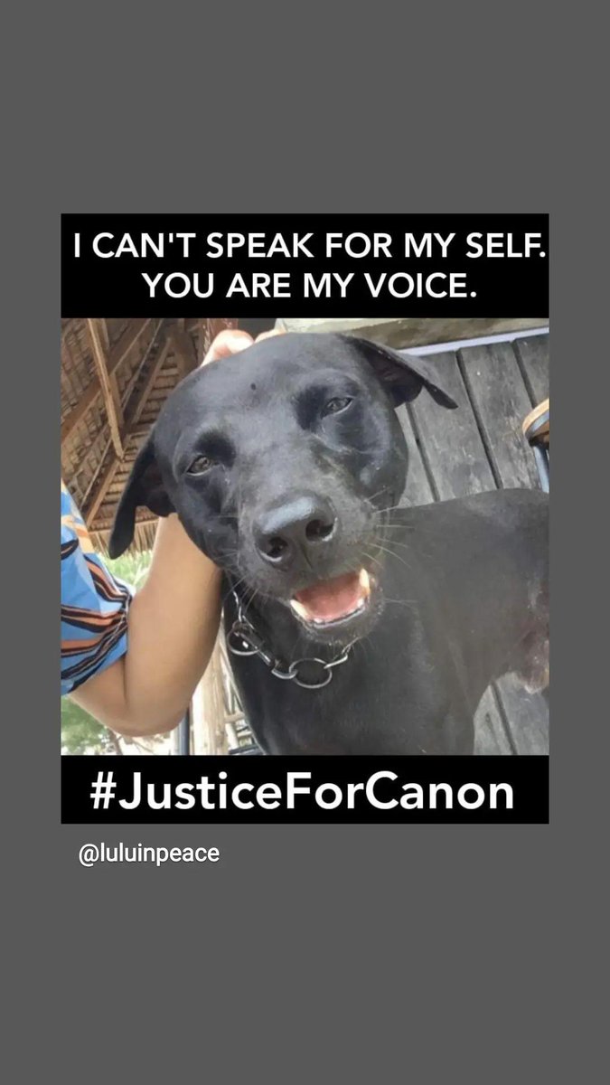 ngkriz's tweet photo. Please sign the petition #justiceforcanon #canon #ripcanon

https://t.co/hu9KFogomd

Be a voice for him. Speak up https://t.co/dOoT8IVWpN