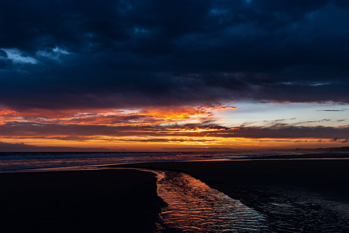 Philippe Portes tweet media