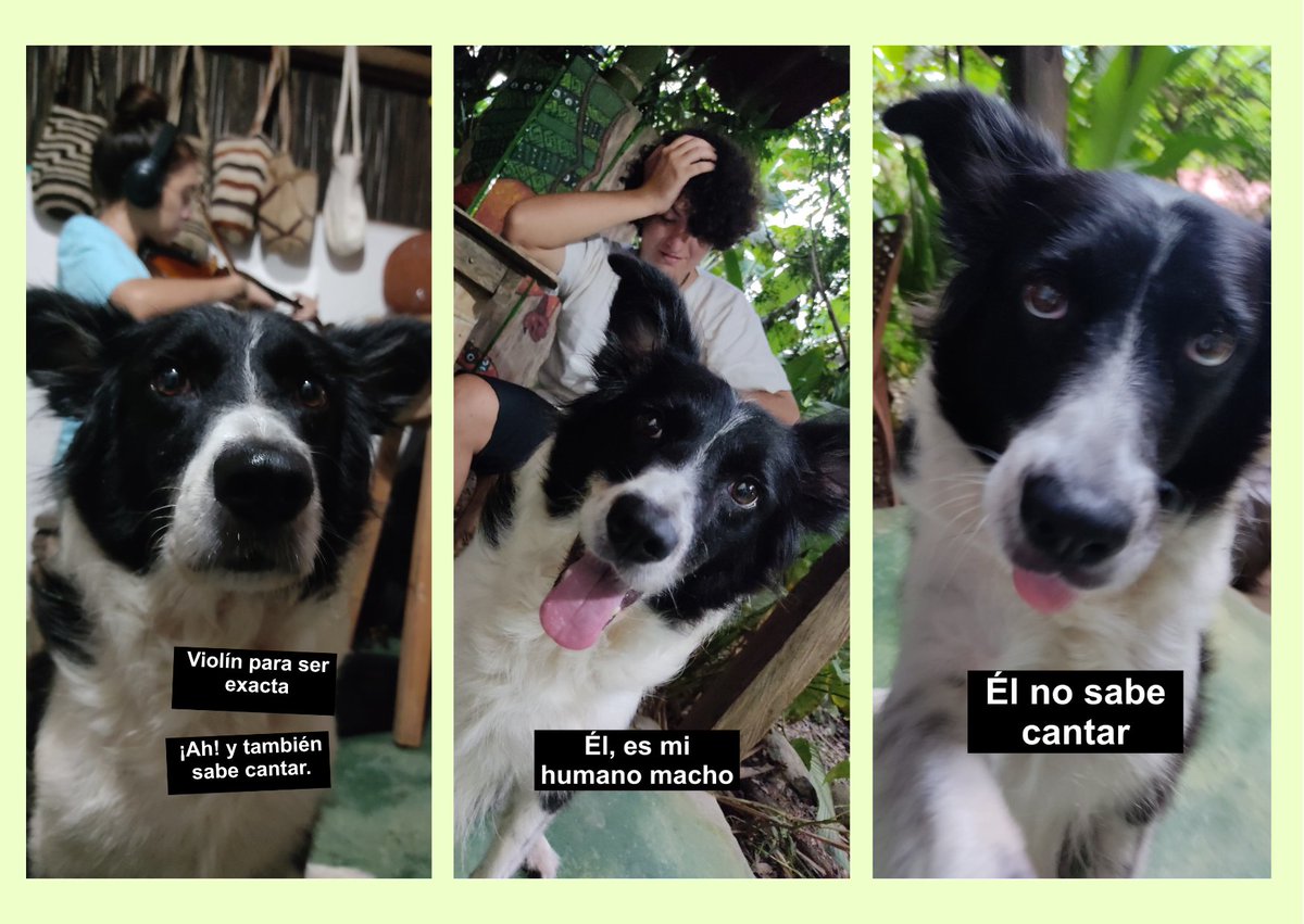 Natalyrodri24's tweet photo. Hola a todos 🤓
Venimos ofreciendo clases de música.
Info: 3182938039
Post de mi perrita para llamar la atención. https://t.co/7h7C9CtkMa