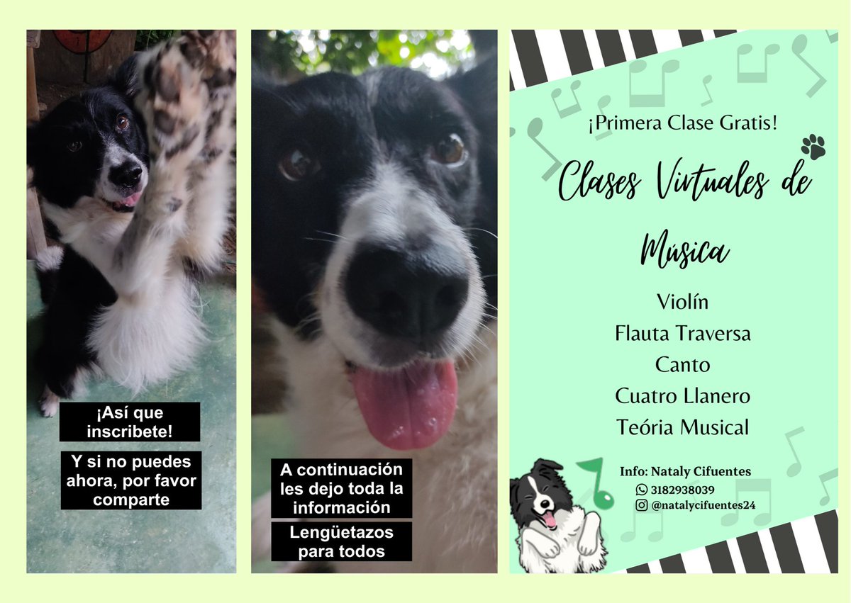 Natalyrodri24's tweet photo. Hola a todos 🤓
Venimos ofreciendo clases de música.
Info: 3182938039
Post de mi perrita para llamar la atención. https://t.co/7h7C9CtkMa