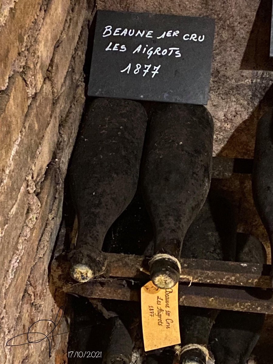 HISTOIRE_DU_VIN's tweet photo. Question : Avec cette photo rare Charlotte GLAIN FROMONT Guide conférencière à @guides_en et membre de notre Conseil Scientifique du CHVV nous pose une question « Pourquoi ces deux bouteilles revêtent un caractère historique indéniable pour la Côte-d’Or ? » Voulez-vous répondre ? https://t.co/8nkaI69U81