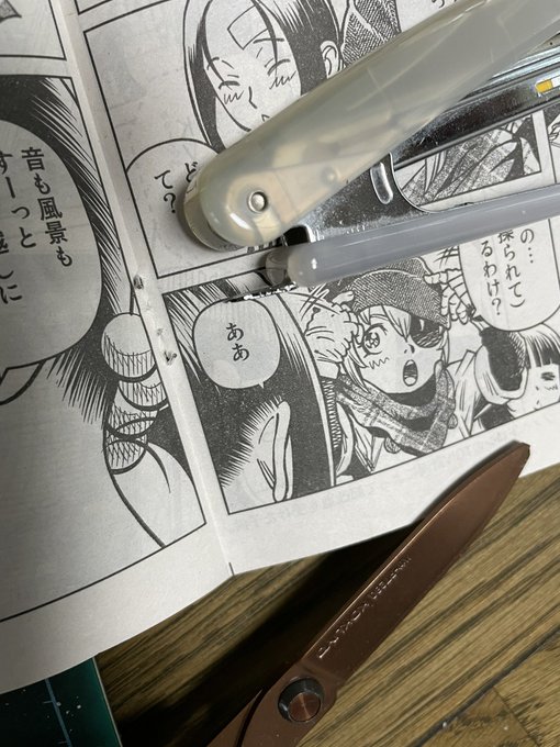 好きな連載が雑誌のド真ん中に載ってくれてるとラッキー。ホチキスを外すだけで取れるのでスクラップしやすい。
こうして、漫画マニア達は秋のうちに「銃夢」「創世のタイガ」「新九郎、奔る!」などを巣にたくわえ、厳しい冬に備えるのです。 