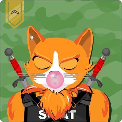 YourBoyDirt's tweet photo. New PFP who dis #MadCatMonday @MadCatMilitia https://t.co/k8KNQaqbA1