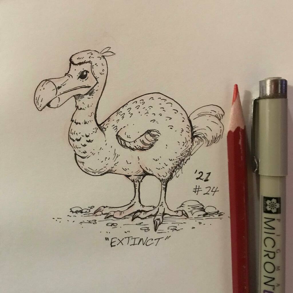 #Inktober2021 Day 24 Extinct
Took 2 seconds to decide on a dodo. I mean what's the first thing YOU think of when you hear 'extinct'? 🤔 #inktober #drawing #pin #twitter #7daysleft instagr.am/p/CVcB9BDM8le/