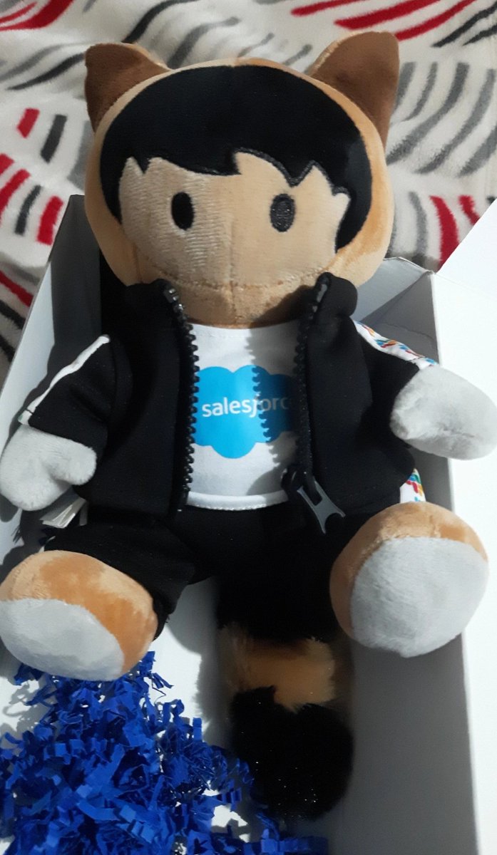 Bharatummadi_'s tweet photo. Look who's here on a Monday morning 🤩❤
#slackstro #TrailheadQuests @salesforce @SlackHQ https://t.co/CFNMaAHmry