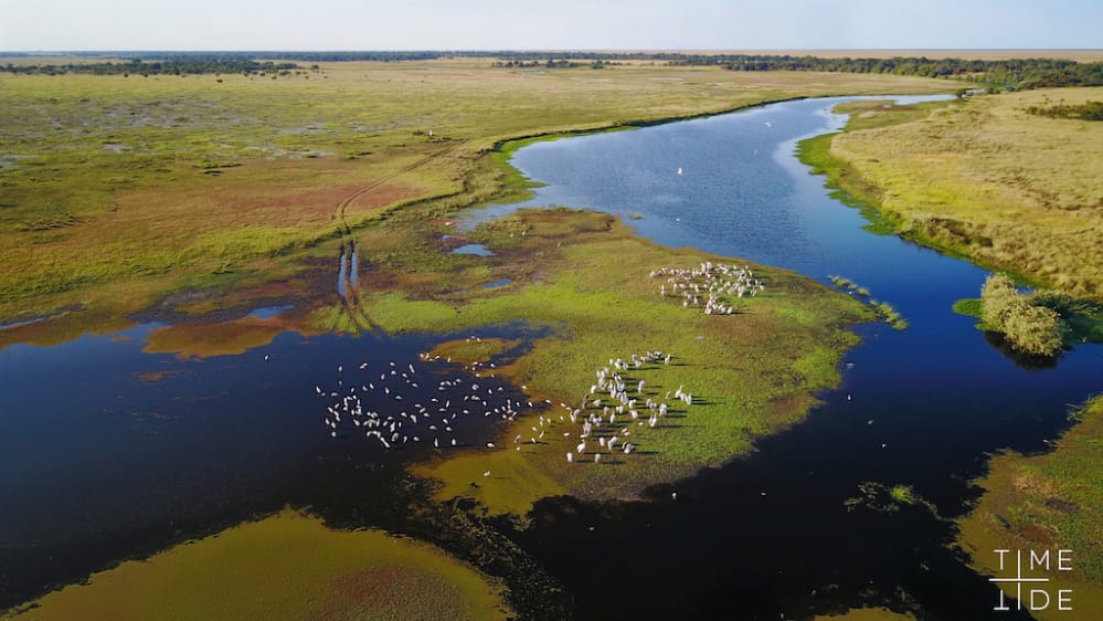 SturburnChuma's tweet image. fighting for sustainable management of our ecosystems
#Thinkenvironment