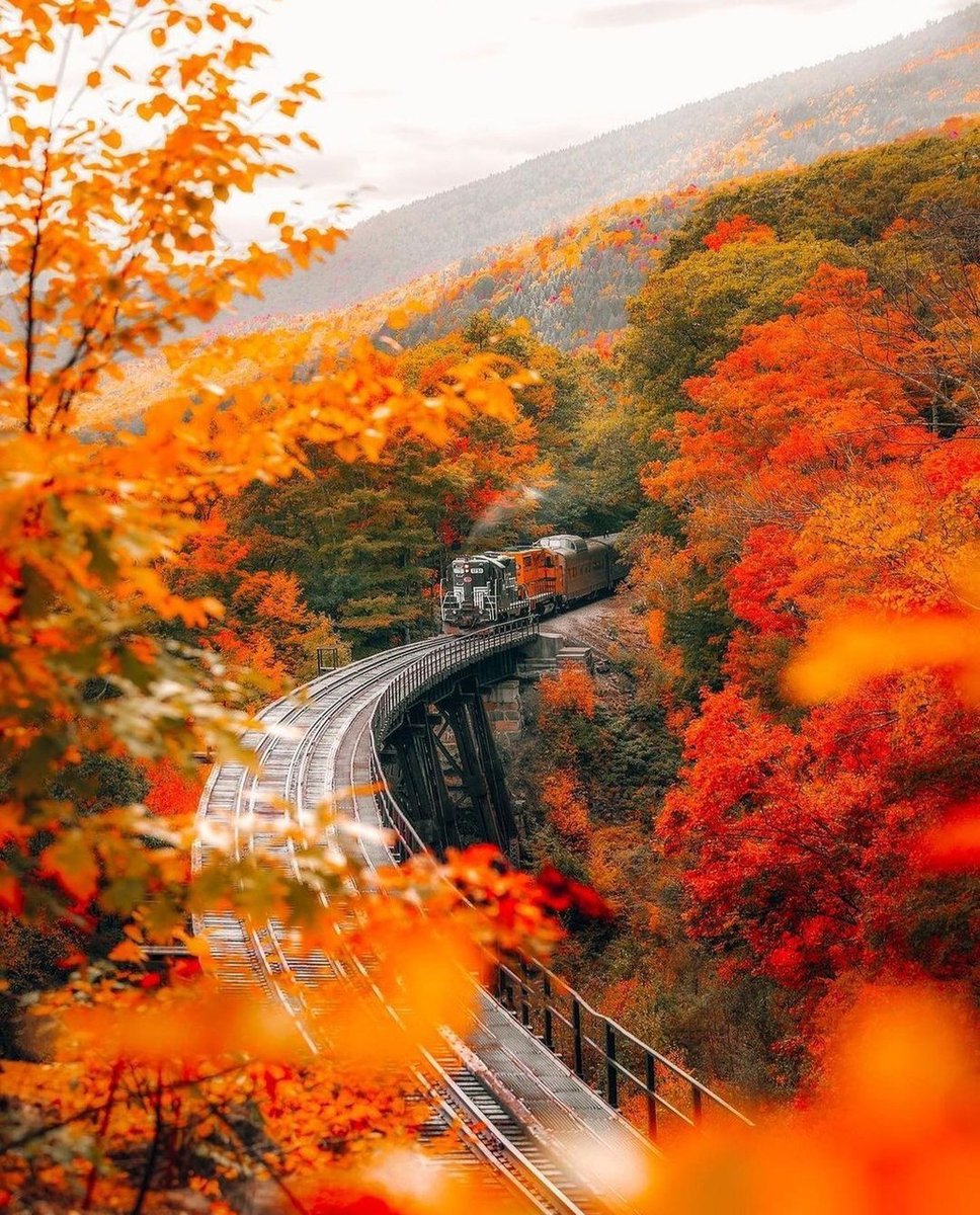 semljnika's tweet photo. Happy new week everyone🍂 https://t.co/tkbLxU1k8S