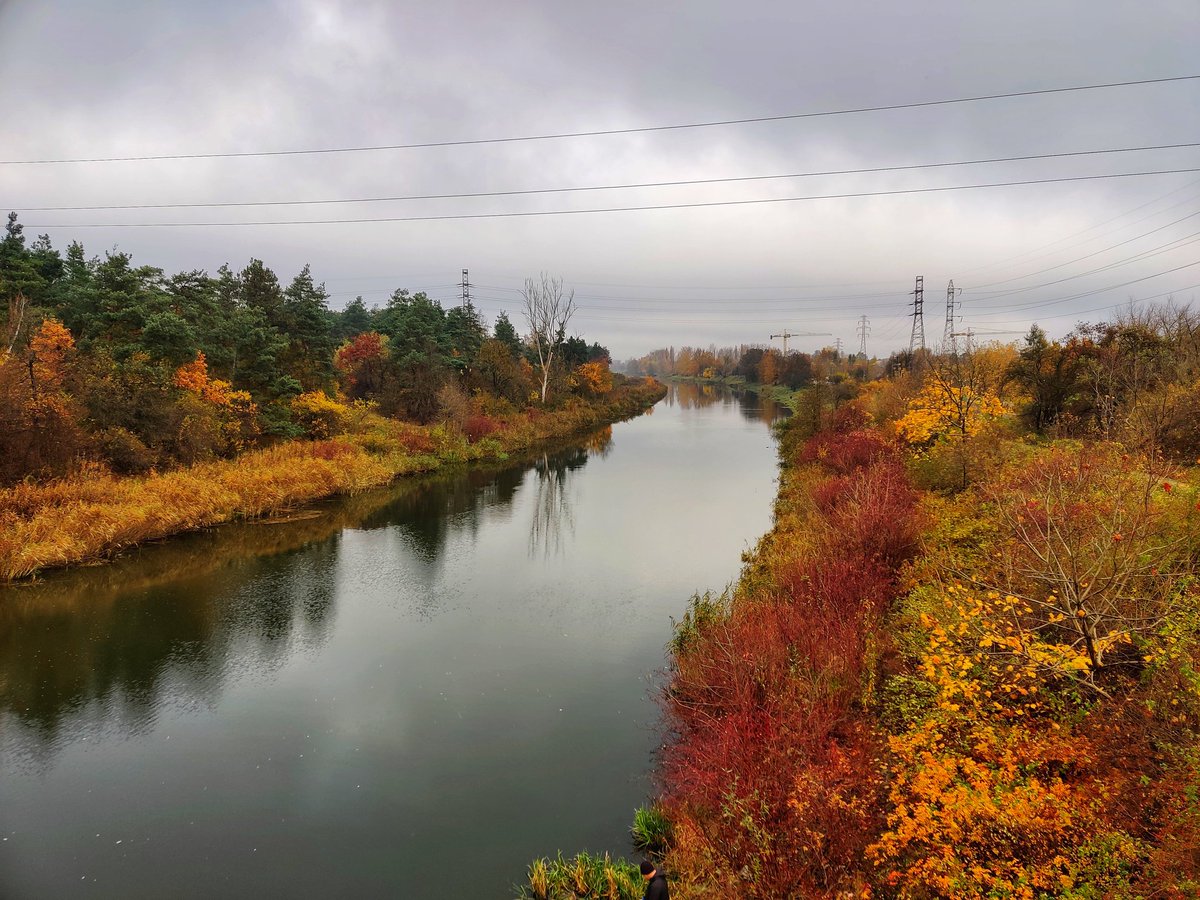 DanielOlszynski's tweet photo. Dzień dobry #Warszawa #bialoleka #kanalzeranski #kanałkrólewski #porannyspacer #mroźny #początek #dnia #shotononeplus7pro #oneplus #landscapephotography #jesień #autumn #digitalagepl https://t.co/9LrYnMiAbS
