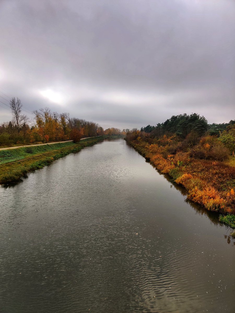 DanielOlszynski's tweet photo. Dzień dobry #Warszawa #bialoleka #kanalzeranski #kanałkrólewski #porannyspacer #mroźny #początek #dnia #shotononeplus7pro #oneplus #landscapephotography #jesień #autumn #digitalagepl https://t.co/9LrYnMiAbS