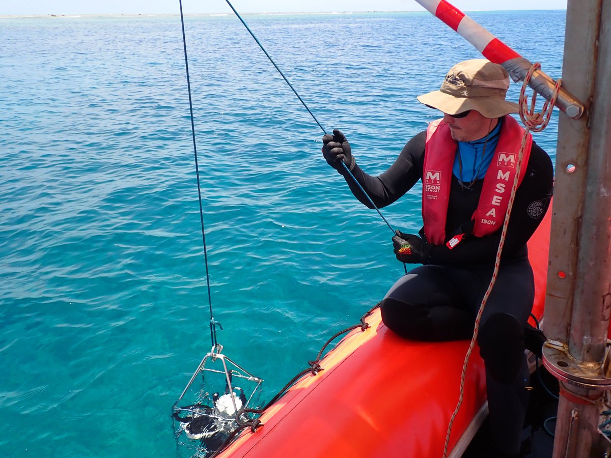 DJJuszkiewicz's tweet photo. Having a great time on the #ScottReef @aims_gov_au 2021 trip. Awash with opportunities and gaining valuable networks and experience. I couldn't ask for more during a PhD and emerging in a new vocation. https://t.co/VPOKnkdaWs