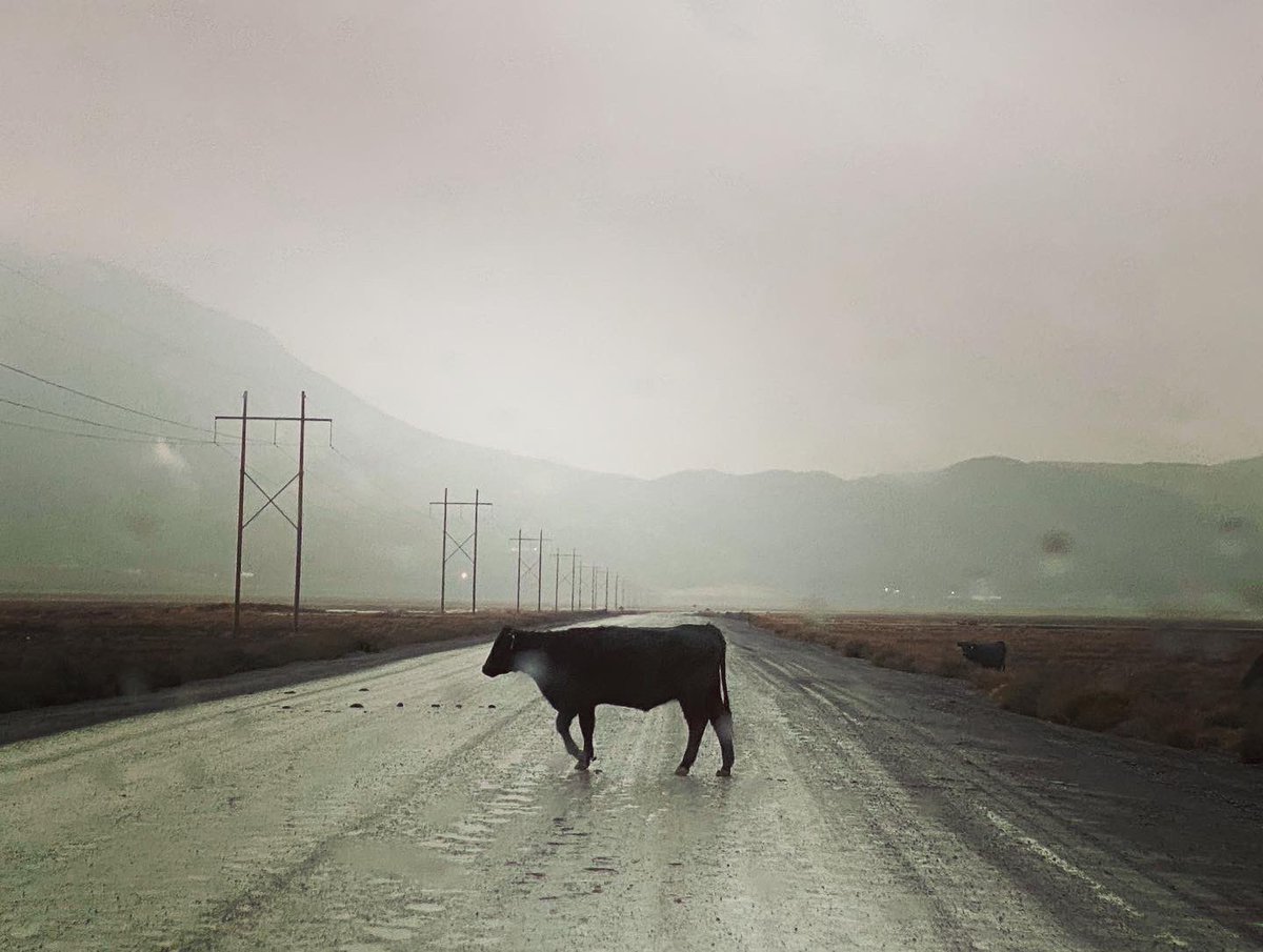 He didn’t care. #goaround #openrange